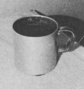 Шпандау: Тайный дневник i_030.jpg