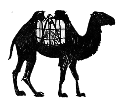 Мальчик из Гоби i_012.png