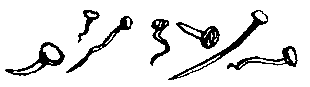 Удивительные дети (сборник) pic_97.png