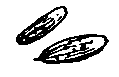 Удивительные дети (сборник) pic_119.png