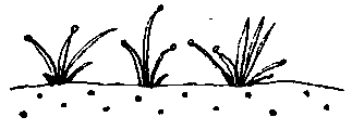 Удивительные дети (сборник) pic_132.png