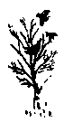 Удивительные дети (сборник) pic_182.png