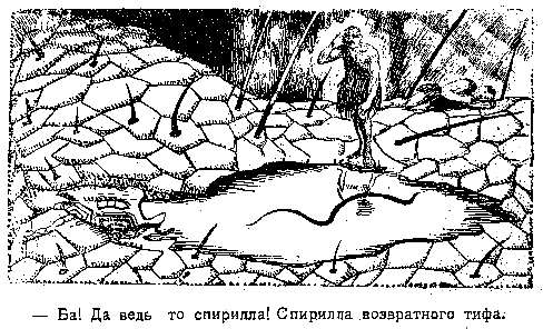 Приключения доктора Скальпеля и фабзавука Николки в мире малых величин (илл. Львов) pic_21.png