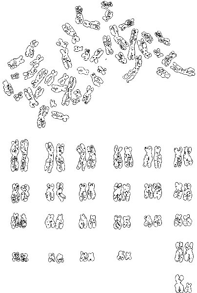 Род человеческий i_005.png