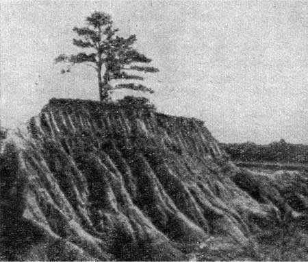 Род человеческий i_060.jpg
