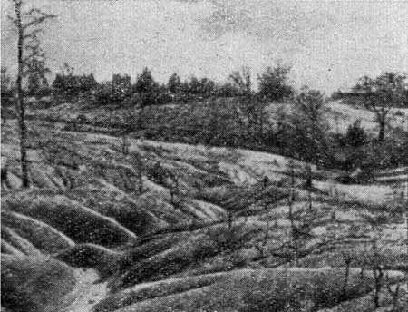 Род человеческий i_061.jpg