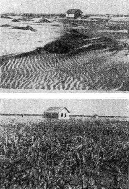 Род человеческий i_064.jpg