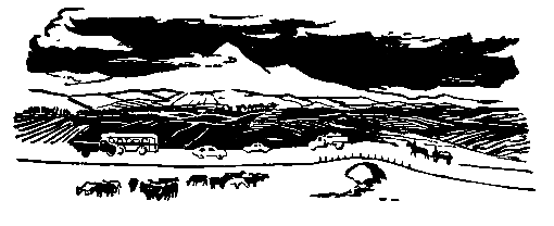Рассказы о капитане Бурунце pic_26.png