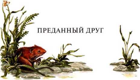 Сказки (илл. П. Дж. Линча) i_014.jpg