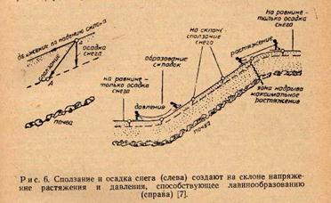 Тайна гибели группы Дятлова. Документальное расследование image099.jpg