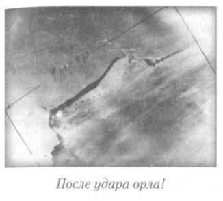 Летный риск i_039.jpg