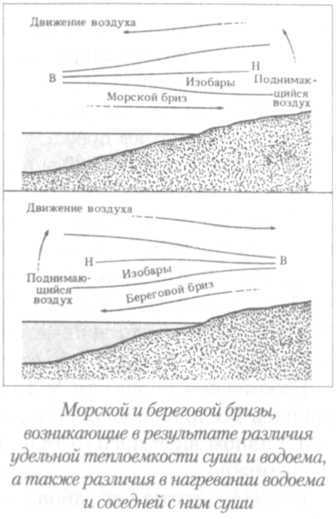 Летный риск i_071.jpg