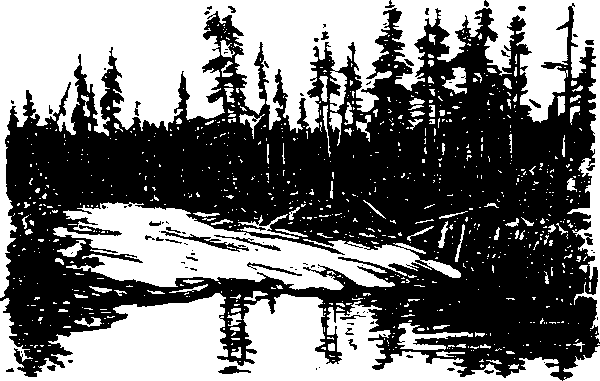 Тайна сибирской платформы p0150.png