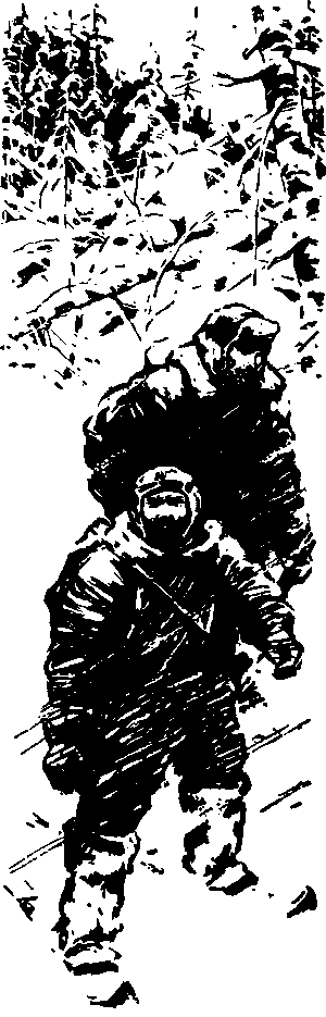 Тайна сибирской платформы p0180.png