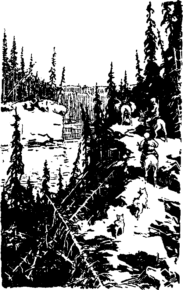 Тайна сибирской платформы p0194.png