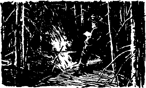 Тайна сибирской платформы p0200.png