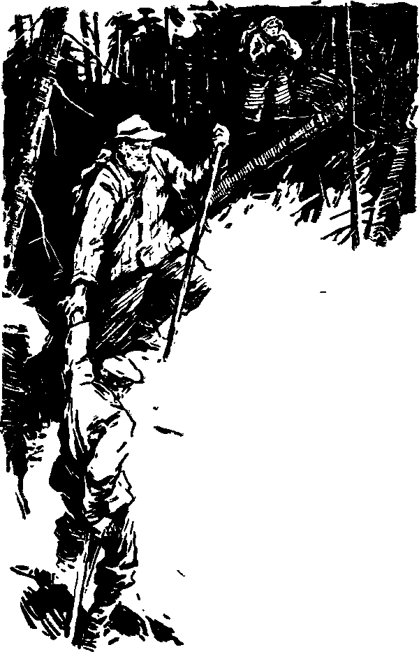 Тайна сибирской платформы p0215.png