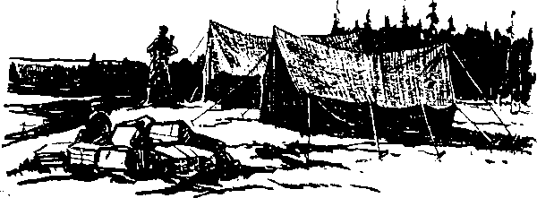 Тайна сибирской платформы p0233.png