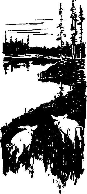 Тайна сибирской платформы p0236.png