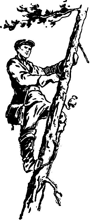 Тайна сибирской платформы p0241.png
