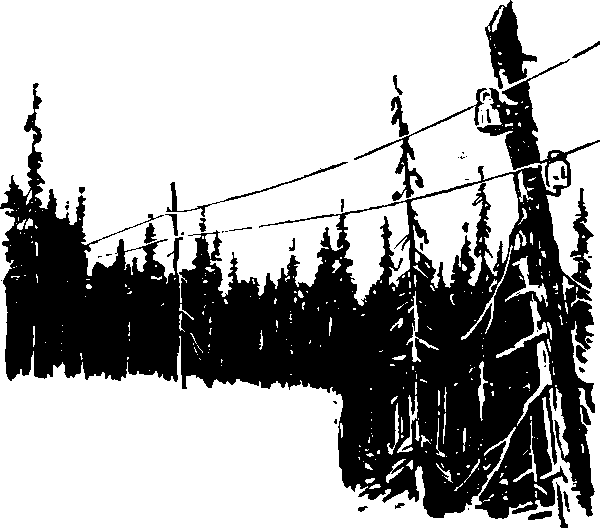 Тайна сибирской платформы p0242.png