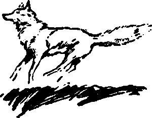 Тайна сибирской платформы p0257.png