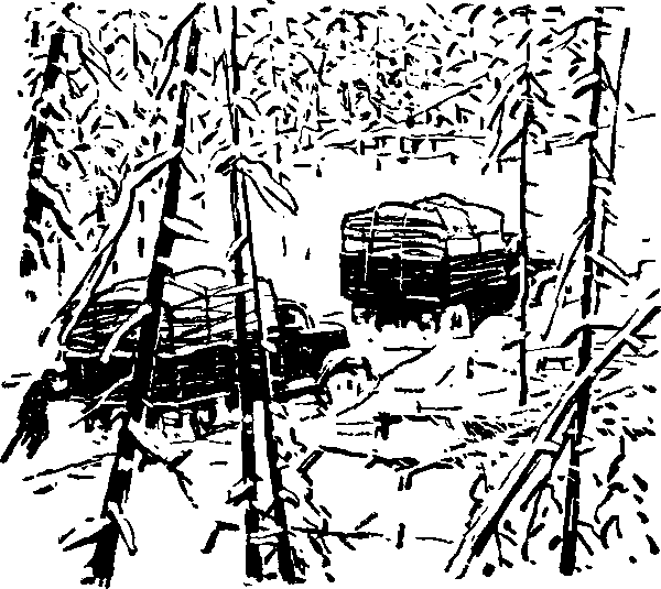 Тайна сибирской платформы p0263.png