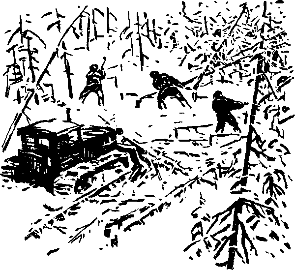 Тайна сибирской платформы p0264.png