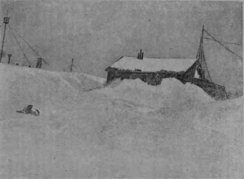Пять лет на острове Врангеля img_38.jpeg