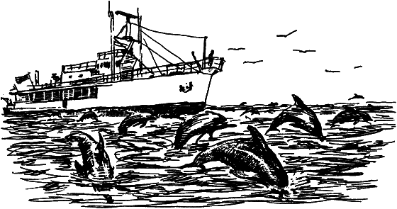 Могучий властелин морей. Чтобы не было в море тайн i_005.png