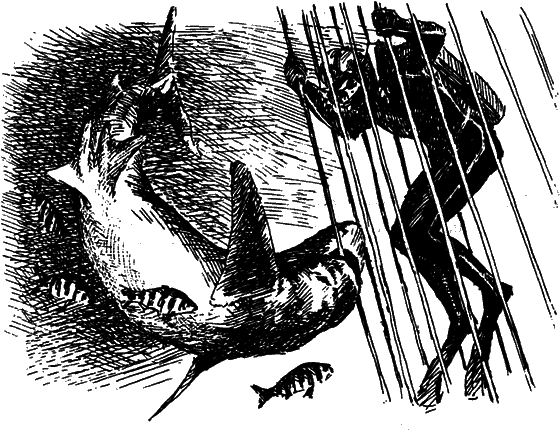 Могучий властелин морей. Чтобы не было в море тайн i_020.png