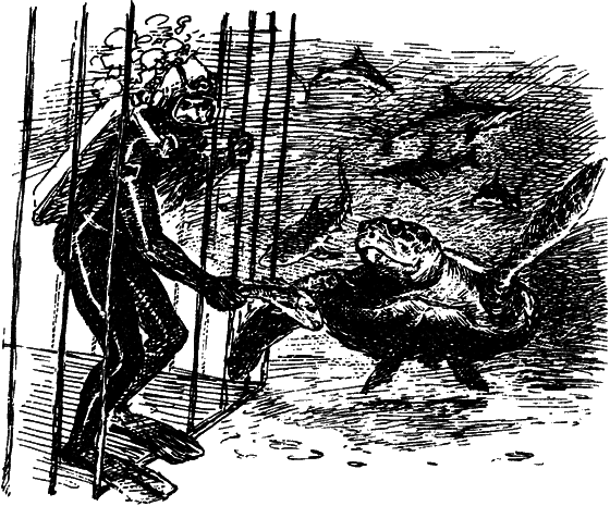 Могучий властелин морей. Чтобы не было в море тайн i_029.png