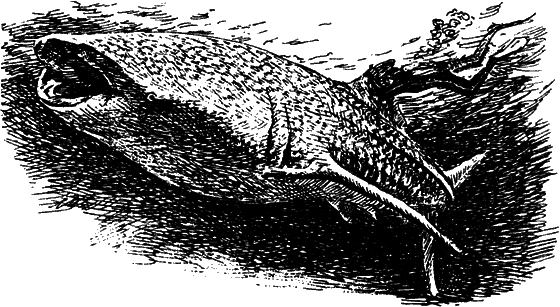 Могучий властелин морей. Чтобы не было в море тайн i_033.png