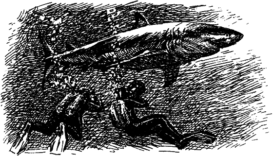Могучий властелин морей. Чтобы не было в море тайн i_008.png