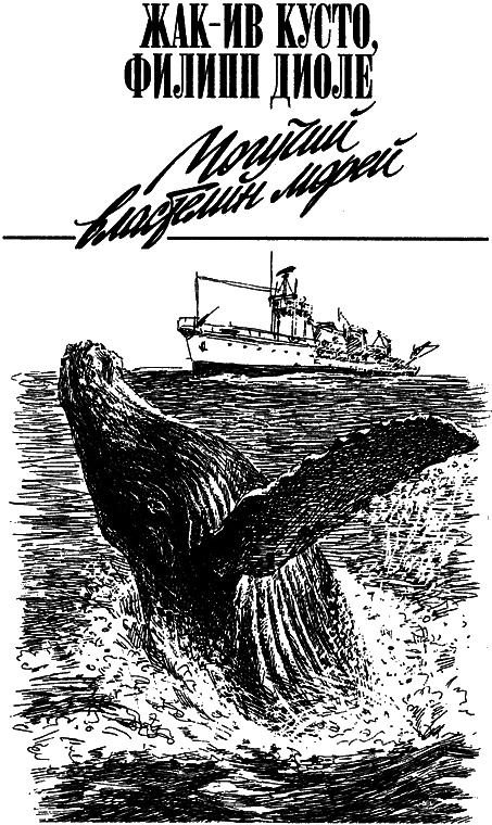 Могучий властелин морей. Чтобы не было в море тайн i_041.png