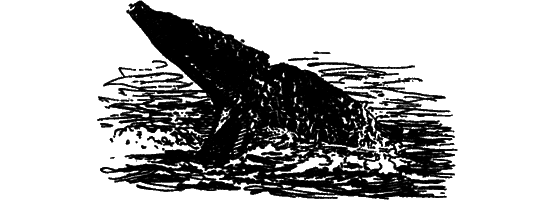 Могучий властелин морей. Чтобы не было в море тайн i_044.png