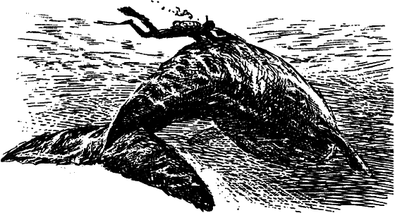 Могучий властелин морей. Чтобы не было в море тайн i_045.png