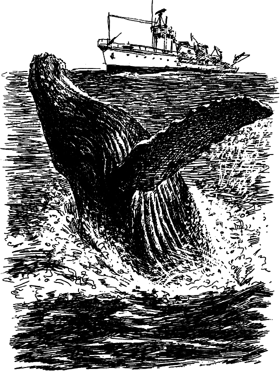 Могучий властелин морей. Чтобы не было в море тайн i_050.png