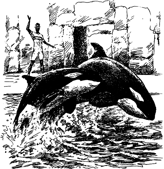 Могучий властелин морей. Чтобы не было в море тайн i_067.png