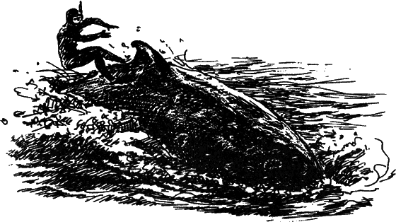 Могучий властелин морей. Чтобы не было в море тайн i_069.png