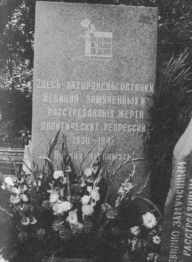 Дело Кольцова i_035.jpg