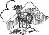 Абхазские сказки i_062.jpg