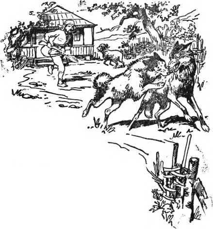 Абхазские сказки i_099.jpg