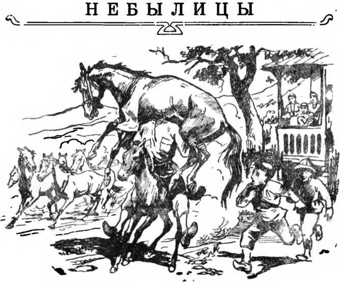 Абхазские сказки i_305.jpg