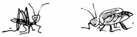 Матильда (др. перевод) i_004.jpg