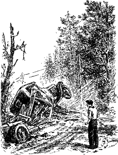 Васек Трубачев и его товарищи (илл. Г. Фитингофа) pic_26.png