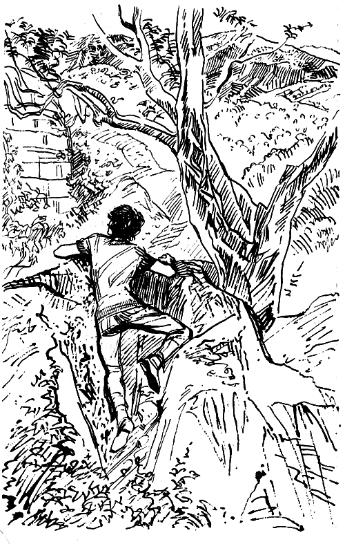 Тайная тропа к Бори-Верт i_008.png