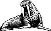 История корабля i_019.png