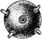 История корабля i_131.png