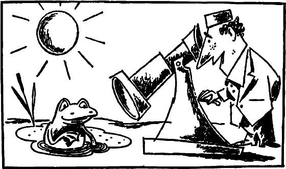 Профиль равновесия i_003.png